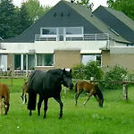 Stadt Trifft Land Lägenhet Munster (North Rhine-Westphalia)